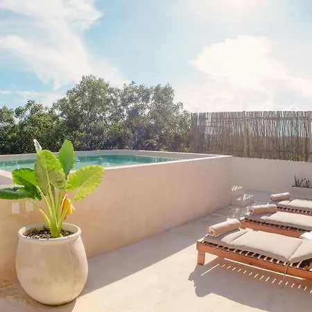 T2Ph New Stunning Penthouse And Rooftop